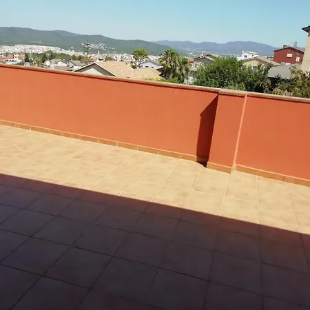 Oasis *